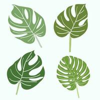 einfachheit monstera blatt freihand kontinuierliche linienzeichnung flaches design. vektor