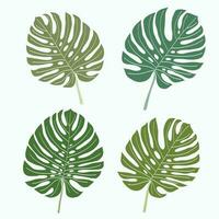 enkelhet monstera blad frihand kontinuerlig linjeritning platt design. vektor