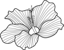 skecth von Hibiskus Blume vektor