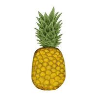 Aquarell Illustration von Ananas Scheiben und Ananas auf ein Weiß Hintergrund. vektor