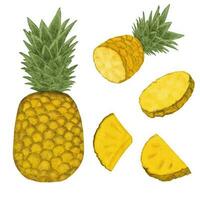 Aquarell Illustration von Ananas Scheiben und Ananas auf ein Weiß Hintergrund. vektor