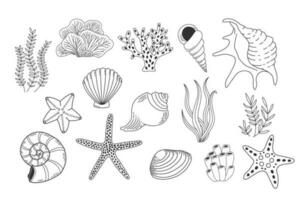 Muscheln, Meer Pflanzen und Seestern isoliert auf Weiß Hintergrund. Koralle Riff Vektor Illustration. Sammlung von Muschel Molluske linear Symbole. Ozean Leben Gliederung einstellen