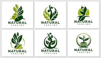 minimalistisk växt blad logotyp design bunt. natur organisk utsäde logotyp branding uppsättning. vektor