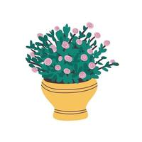 In einem Topf wächst eine wunderschöne rosa Rose. Zimmerpflanze mit grünen Blättern in einem gelben Topf. Topfpflanzenrose lokalisiert auf einem weißen Hintergrund. Flache Vektorillustration. Vektorillustration vektor