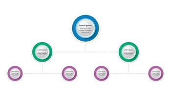 modern Geschäft Hierarchie Infografiken Vorlage vektor