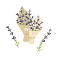 buketter av hand dragen lavendel- blommor. vektor illustration. enkel platt stil.