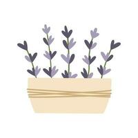 Keramik Topf mit Hand gezeichnet Lavendel Blumen. Vektor Illustration. einfach eben Stil.