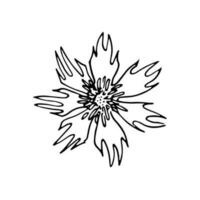 vallmo blommor kontinuerlig linje teckning. redigerbar linje. svart och vit konst. illustration. vektor