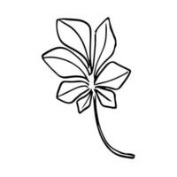 botanisk sömlös mönster, hand ritade, linje konst löv, illustration, vektor på vit