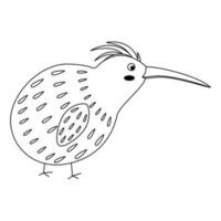 Niedlich, Karikatur Kiwi Vogel. Linie Kunst. vektor