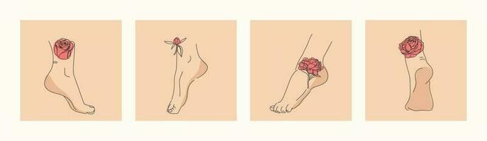 elegant weiblich Füße mit Blumen. Mensch Beine und Fersen. modisch Vektor Illustration im minimalistisch Stil. Pflanzen und Blumen Rose Linie.