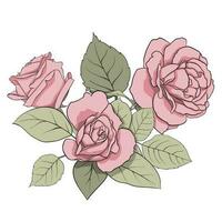 vektor sammansättning av delikat rosa ro och grön löv. illustration för skapande kort, dekoration, dekoration, grafik, bröllop inbjudningar, etc.