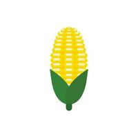 majs platt design vektor illustration isolerat på vit bakgrund. organisk logotyp vektor organisk lantbruk corning fält majskolv öra bruka