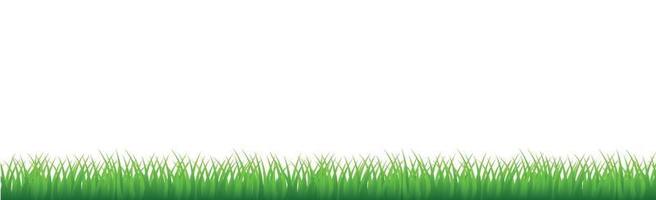 grünes saftiges Gras auf einem weißen Hintergrund vektor