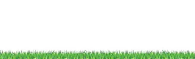 grünes saftiges Gras auf einem weißen Hintergrund vektor