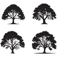 einstellen von Banyan Bäume Silhouetten. groß Baum schwarz Silhouette vektor