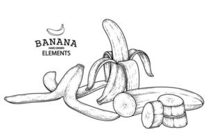 gezeichnete Retroillustration der Bananenhand vektor