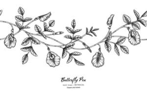 nahtlose Muster Schmetterlingserbsen Blume und Blatt Hand gezeichnete botanische Illustration mit Strichzeichnungen. vektor