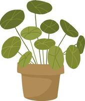 Pflanze im ein Topf. Pflanze im Topf Symbol Vektor Illustration Grafik Design