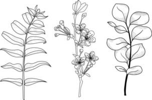Satz von schwarzen und weißen Blumen vektor