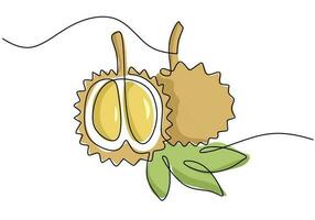 Durian kontinuierlich einer Linie Zeichnung, Obst Vektor Illustration.