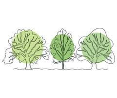 abstrakt weitläufig Verzweigung drei Bäume im ein Reihe, ein Wald von Eiche und Birke kontinuierlich einer Linie Zeichnung vektor