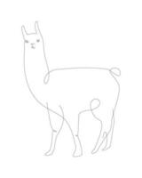 alpacka ett linje illustration. lama linje konst vektor. peru djur vektor