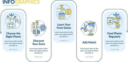 tips för trädgårdsarbete rektangel infographic mall. växter tillväxt. data visualisering med 5 steg. redigerbar tidslinje info Diagram. arbetsflöde layout med linje ikoner vektor