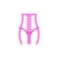 korrigierend Höschen Shapewear Symbol Backstein Mauer und Weiß Hintergrund. vektor