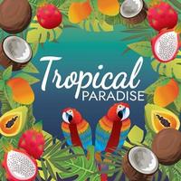 tropische Früchte und Ara Vogel und Sonnenuntergang Strand Stimmung vektor