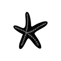 sjöstjärna. svart silhuett. atlanten stjärna. marin djur- vektor illustration på vit bakgrund.