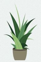 Hem växt. inlagd växt isolerat. dekorativ grön krukväxt i pott. växt i pott. vektor illustration