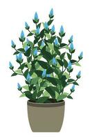 Zuhause Pflanze. eingetopft Pflanze isoliert. dekorativ Grün Zimmerpflanze im Topf. Pflanze im Topf. Vektor Illustration