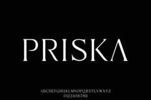 modern schick und elegant serif Anzeige Schriftart Vektor