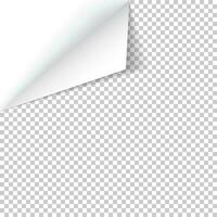 Blatt von Papier mit zusammengerollt Ecke und Sanft Schatten, Vorlage zum Ihre Design. Vektor Illustration