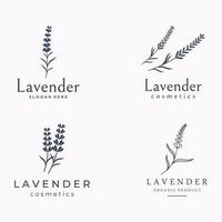 hand dragen organisk lavendel- blomma logotyp mall design.logotyp för kosmetisk, skönhet, te, olja, ört. vektor