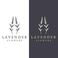 Hand gezeichnet organisch Lavendel Blume Logo Vorlage design.logo zum Kosmetik, Schönheit, Tee, Öl, Kräuter. vektor