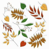 Herbst Blätter Hintergrund auf Weiß. perfekt zum saisonal Designs und Herbstthema Projekte. vektor