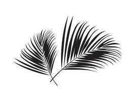 Blatt Palme Baum Vektor Illustration.