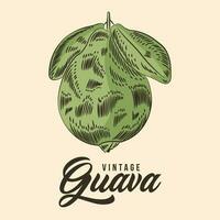 årgång hand teckning guava frukt skiss vektor stock illustration Färg