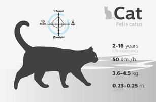 informationsillustration av katt på en bakgrundsvektor 10 vektor