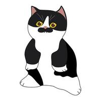 schwarz und Weiß Katze Stehen mit süß Schnurrbart vektor