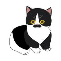 schwarz und Weiß Katze Sitzung mit süß Schnurrbart vektor