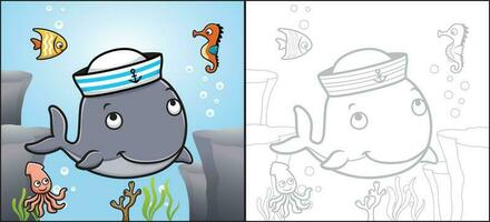 vektor tecknad serie av val bär sjöman keps med fisk, sjöhäst och bläckfisk. färg bok eller sida