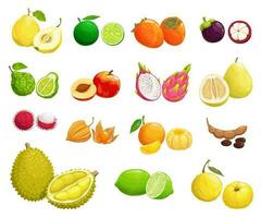 tecknad serie frukt vektor ikoner naturlig exotisk mat uppsättning