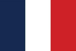 flagga av Frankrike. franska flagga vektor