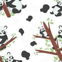 Panda Bär auf Baum Geäst vektor