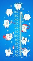 Karikatur Zähne mit Zahnbürste. Kinder Höhe Diagramm vektor
