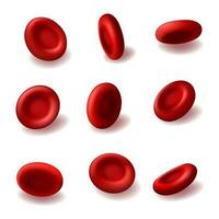 rot Blut Zellen 3d Vektor Hämoglobin, Hämatologie