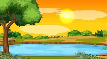 landskap scen av skog med floden och solen går ner vektor